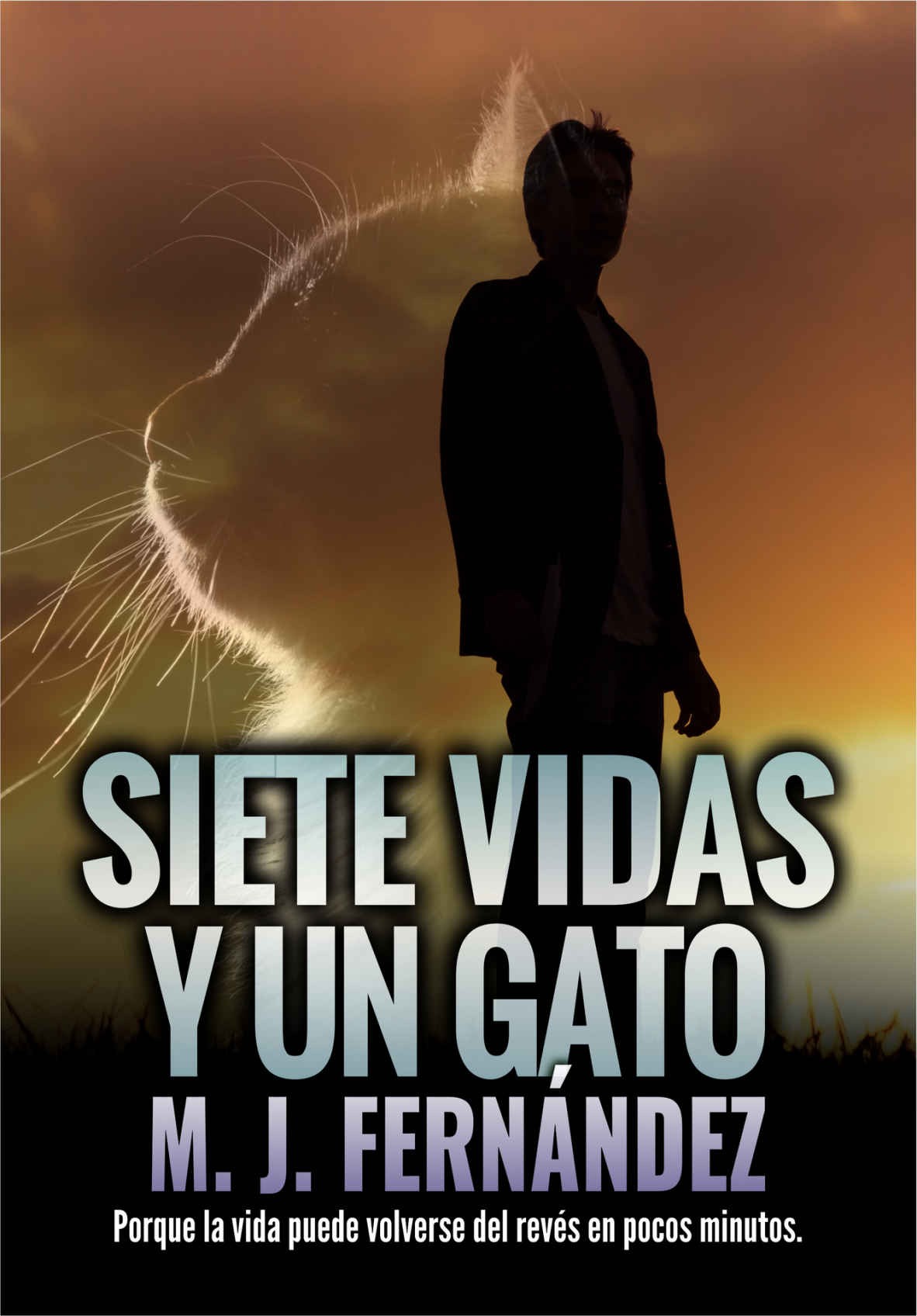 Siete vidas y un gato